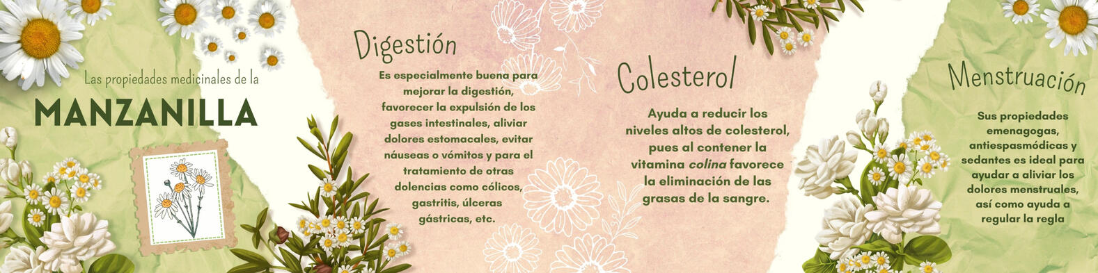 Instagram Carousel 1